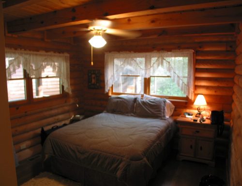 Main Floor Guest Room